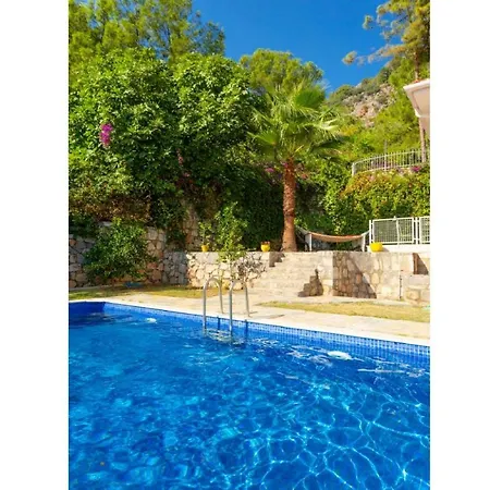 Villa Pine 2 *